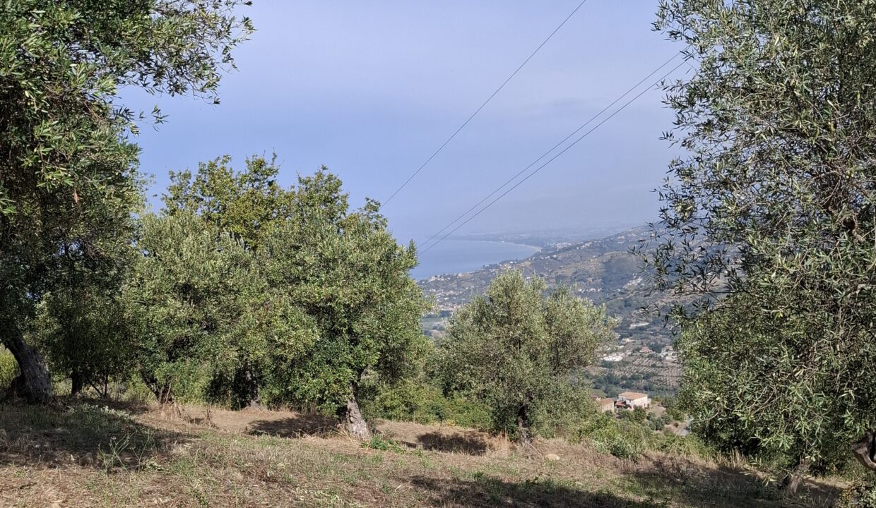 20261008_104652