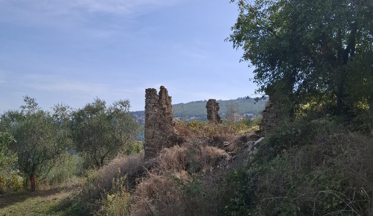 20261008_105441